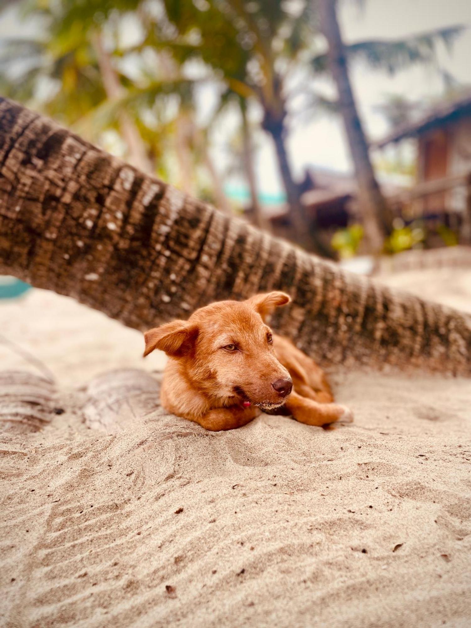 Amwani Breeze Apartment El Nido Bagian luar foto